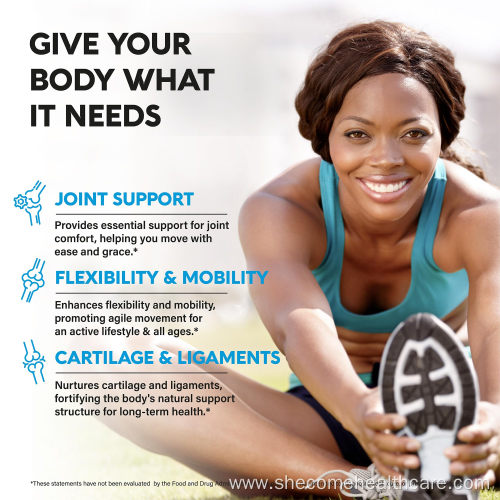 Glucosamine Chondrotin MSM Collagen Joint Health Supplement